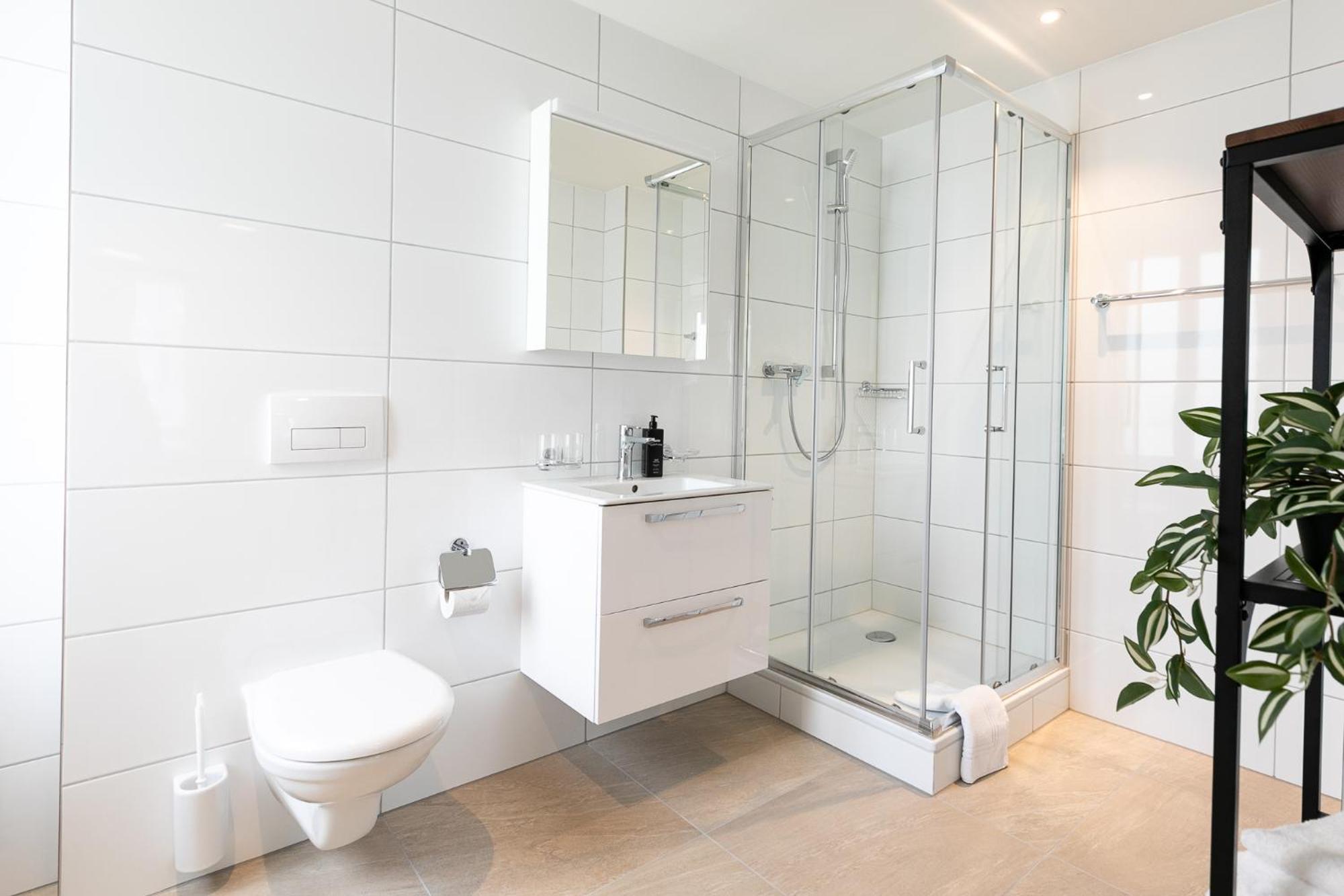 Inn Joy Apartments - Roter Platz St. Gallen Dış mekan fotoğraf