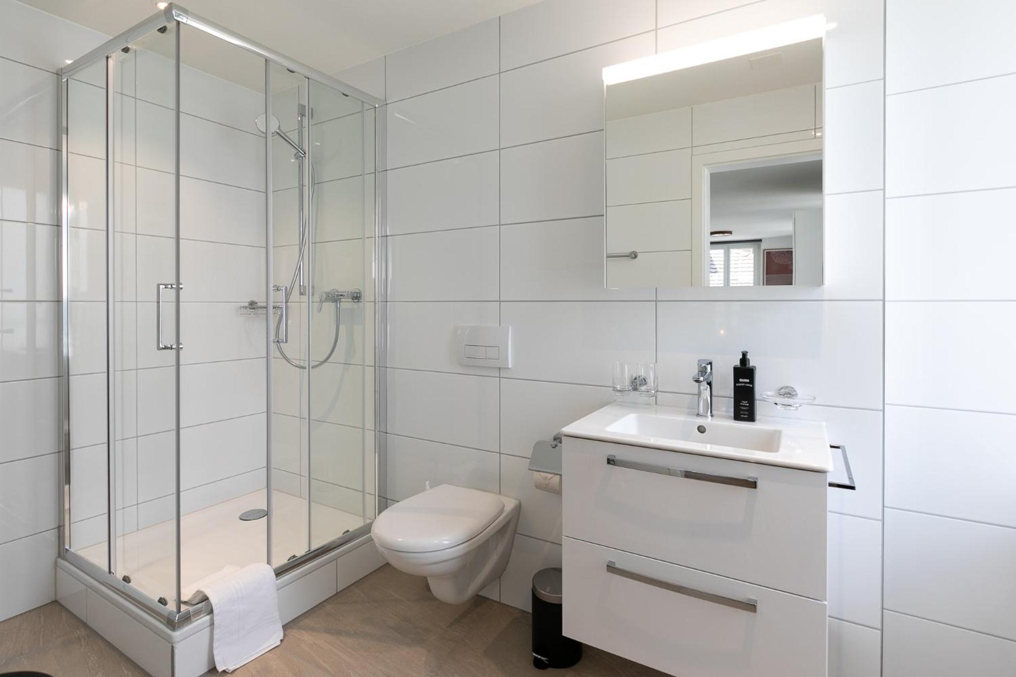 Inn Joy Apartments - Roter Platz St. Gallen Dış mekan fotoğraf